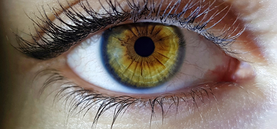 Okuloplastyka - zdrowe oko z zieloną tęczówką